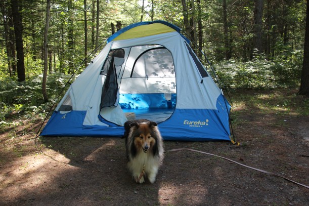 Me and my tent.  And the sunlight.