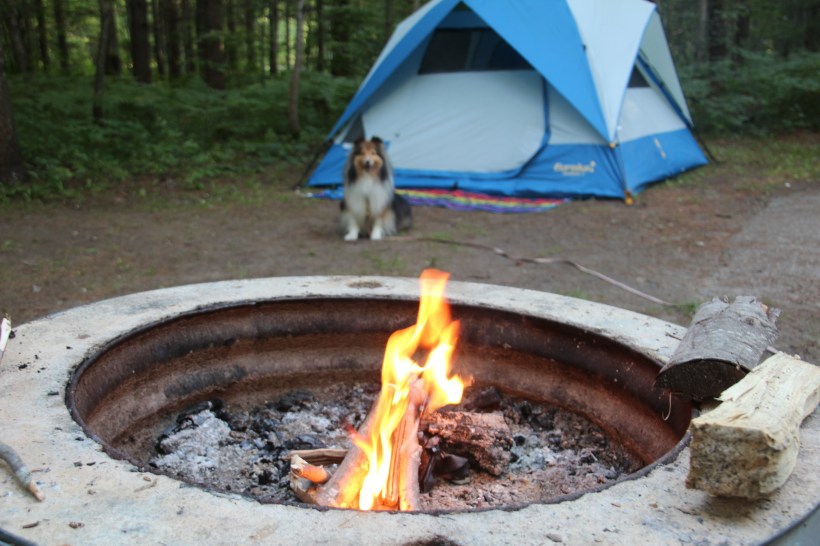 Our beautiful campsite.