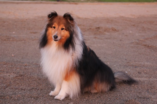 This light is perfect for a princess mama!