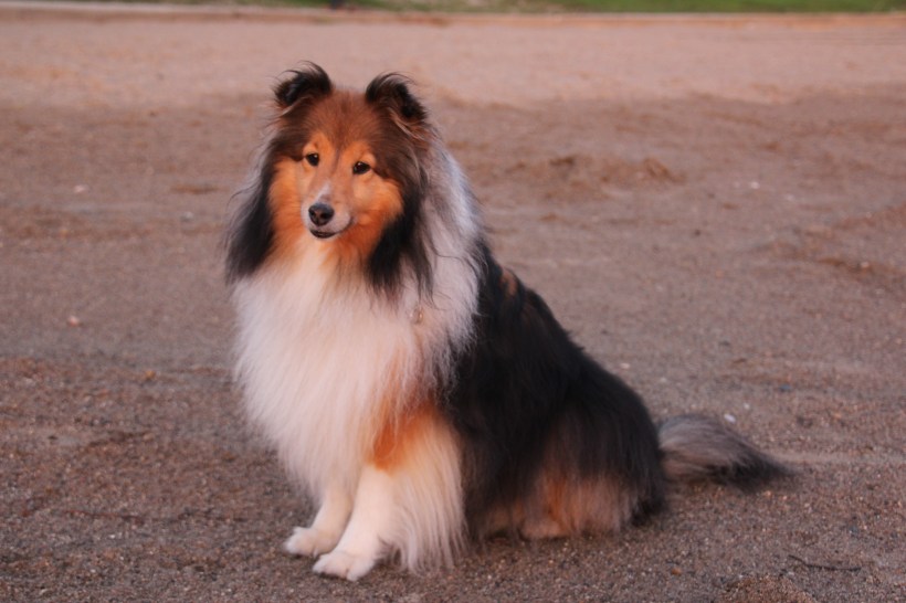 This light is perfect for a princess mama!