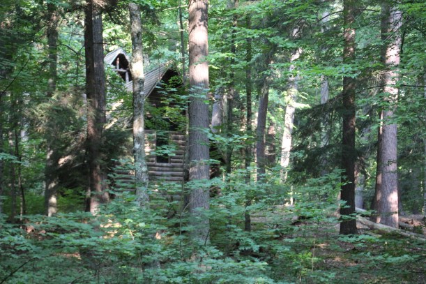 Do you see it back there?