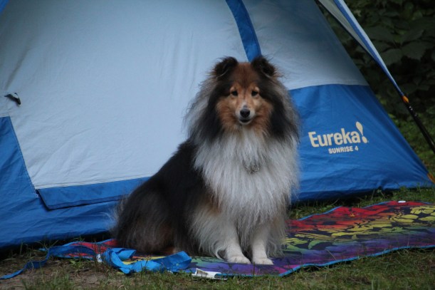 Don't laugh at me.  Mama's hair looked like this too.