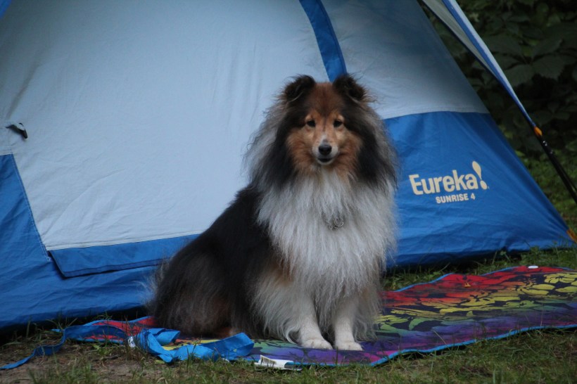 Don't laugh at me. Mama's hair looked like this too.