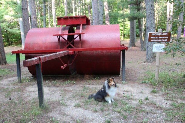 I don't want to sit here mama!