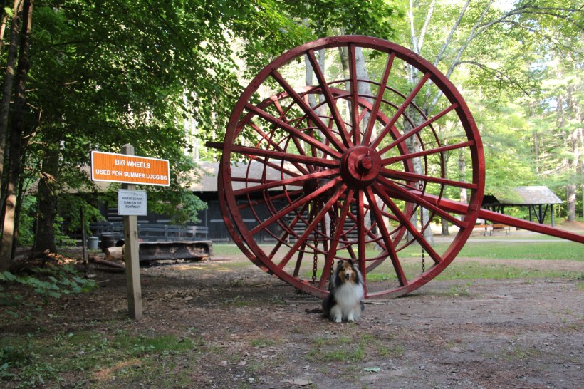 This wheel is LOTS bigger than me!