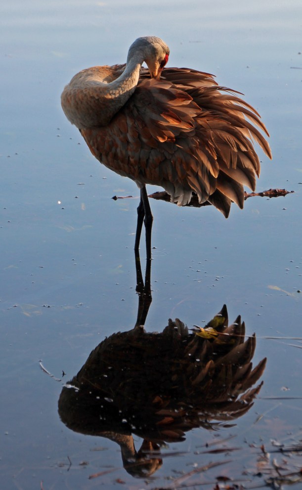 imported-photos-00562_edited-1