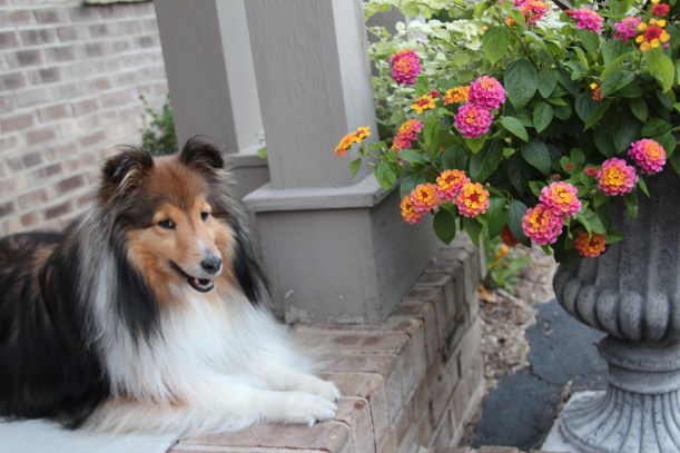 Imported Photos 01712