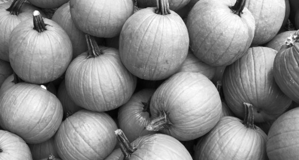 Tis the season here in the States.