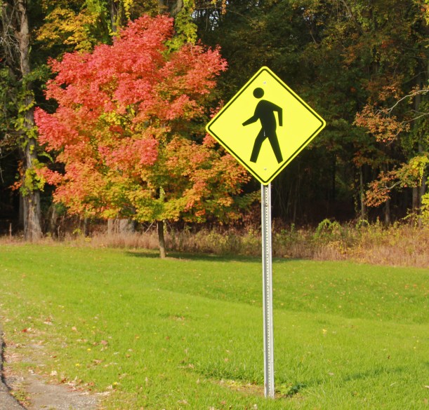 Time to go for a walk!