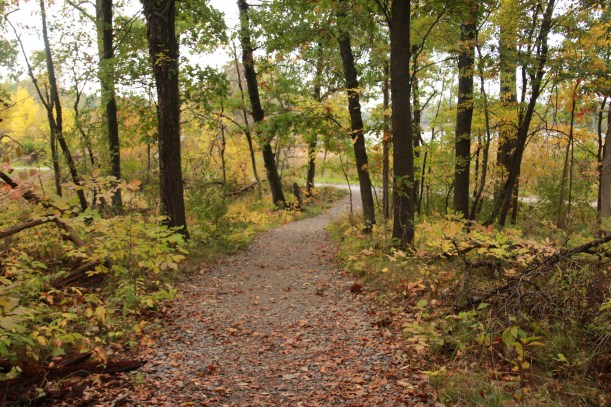 Let's start out here, shall we?