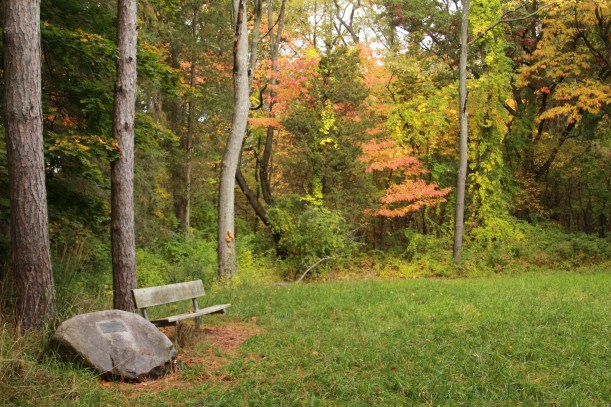 Inviting place to sit and think.