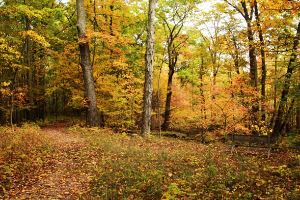 Pretty no matter which way I went!