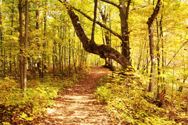 Enticing me to go further.