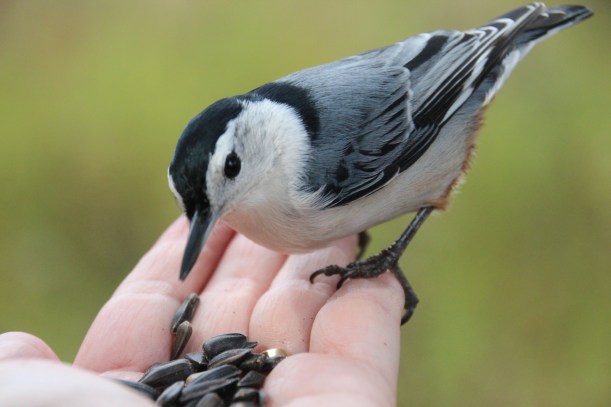 I decided to trust you!