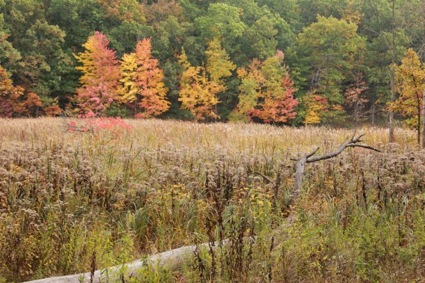 More color across the way.