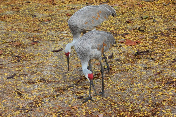 Is it time to leave already?