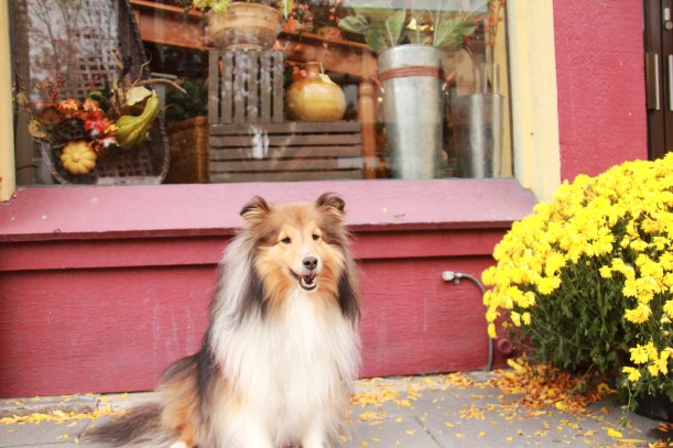 Exploring the village of Milford.