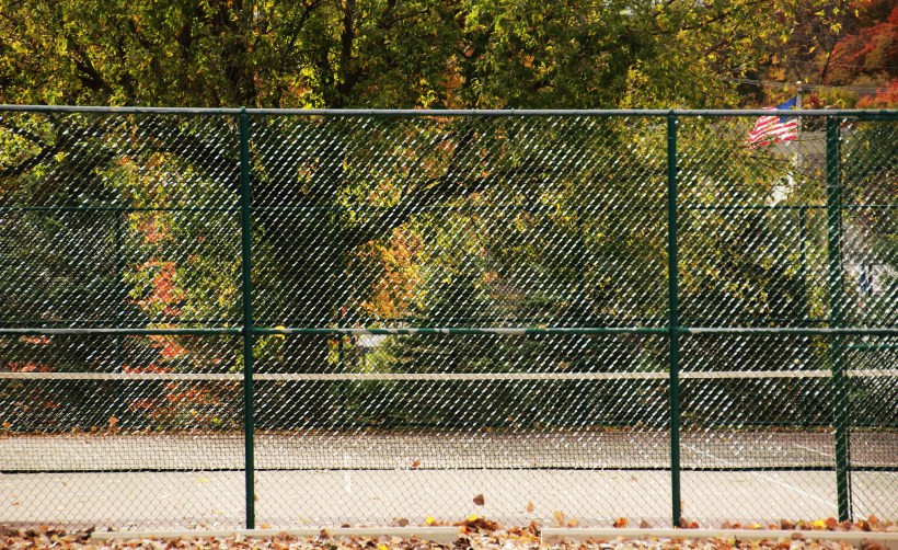 Fall light glances momentarily off the fence.  