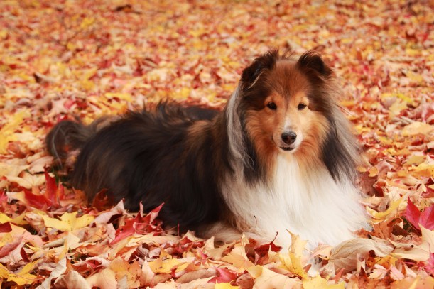 Hurry up mama, it's cold out here!