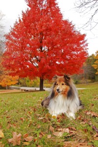 This tree is pretty mama.  But I'm beautiful.