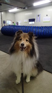 I love to run through tunnels!