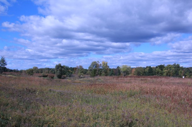 The sky over Katie's park.