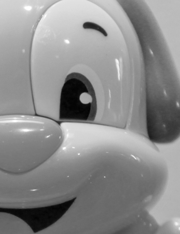 Here's looking at you kid.