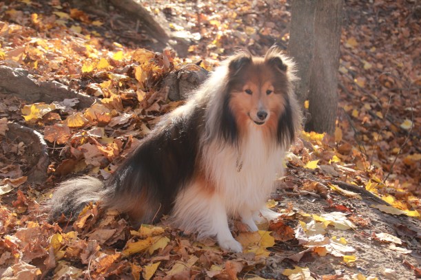 Did you get my good side mama?