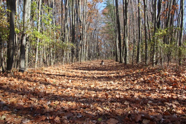 Do you see me?  Isn't this beautiful?