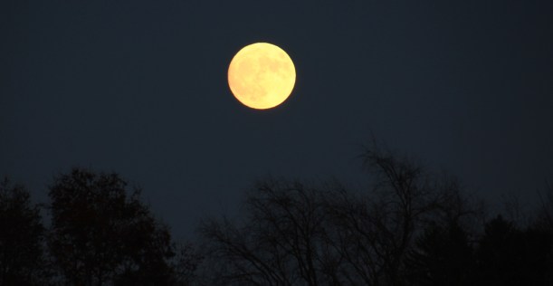 Moving up into Sunday's sky