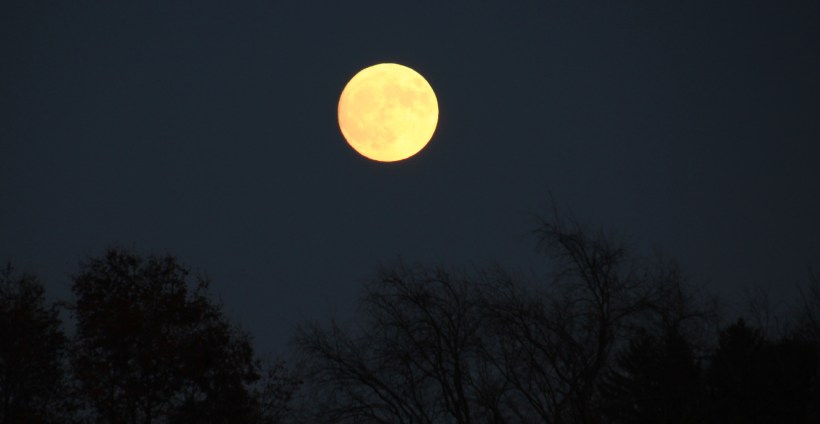 Moving up into Sunday's sky