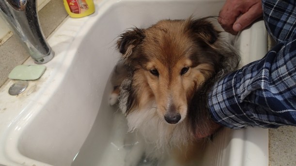 This is not fair at all!