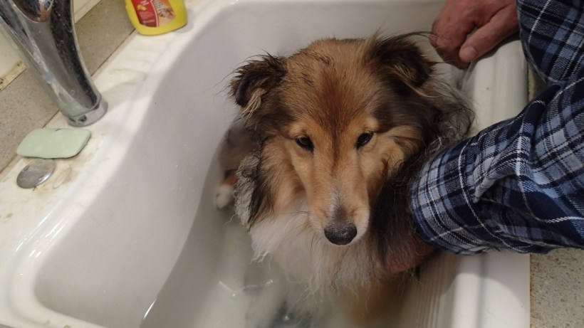 This is not fair at all!