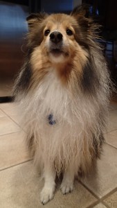 I don't like being wet mama!