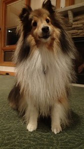 And I think I deserve some treats while I'm drying out!!