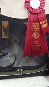 See my beautiful ribbon?