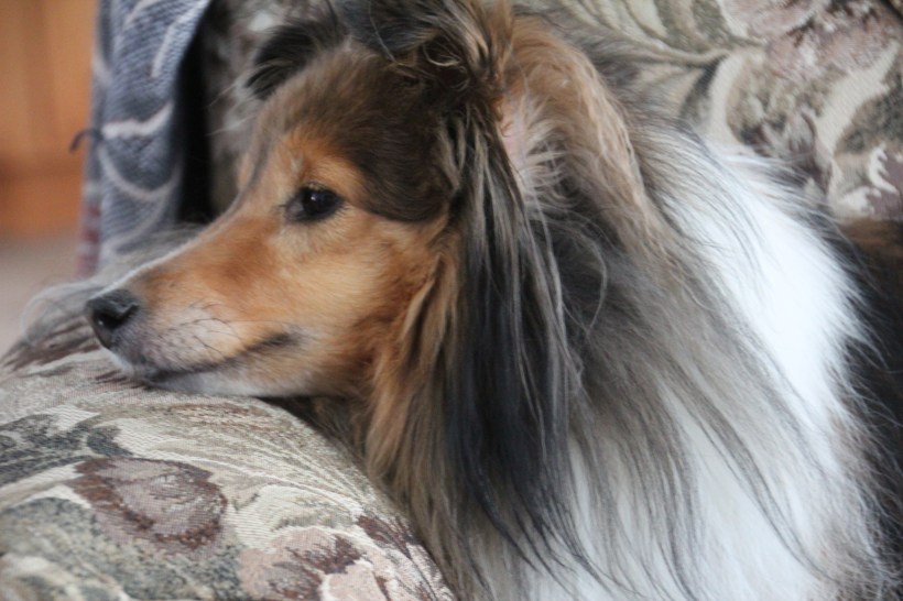 Relaxing in retirement.