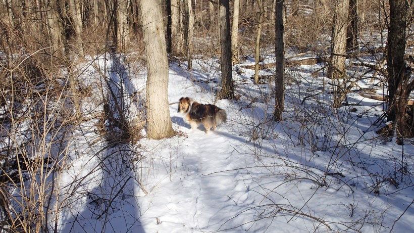 Let's go this way mama!
