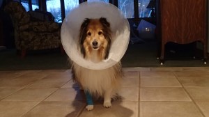 This is not my favorite thing either mama!