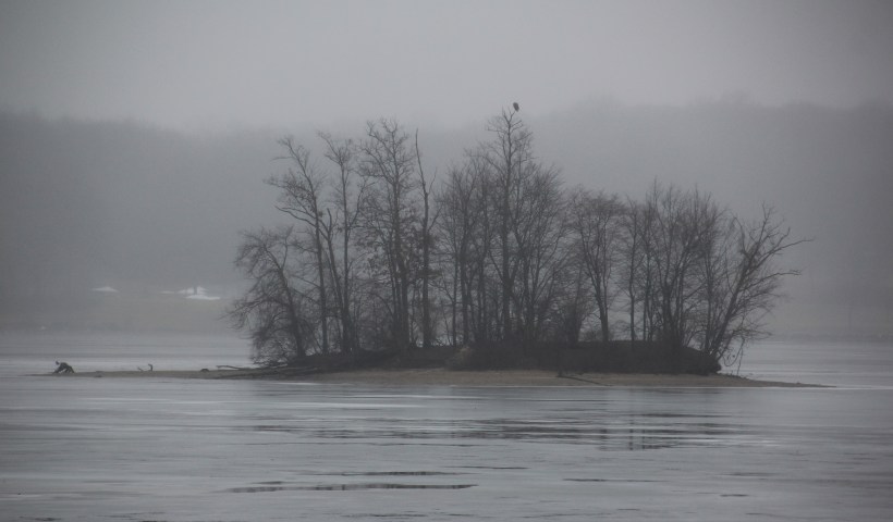 The world feels colorless.