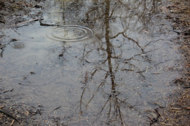 I had lots to reflect on.