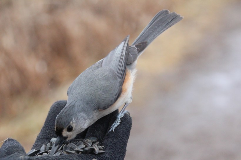 Thanks for coming by lady!