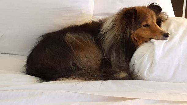 Quit bugging me mama!