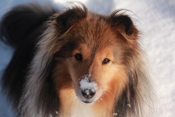 But I don't want to go back mama!