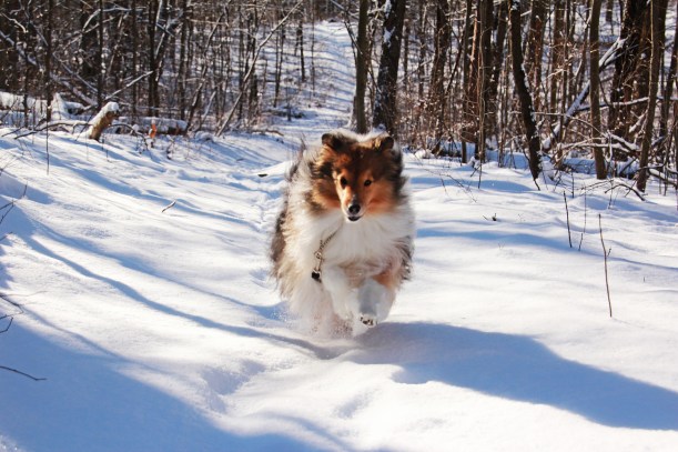 Get those treats ready mama!