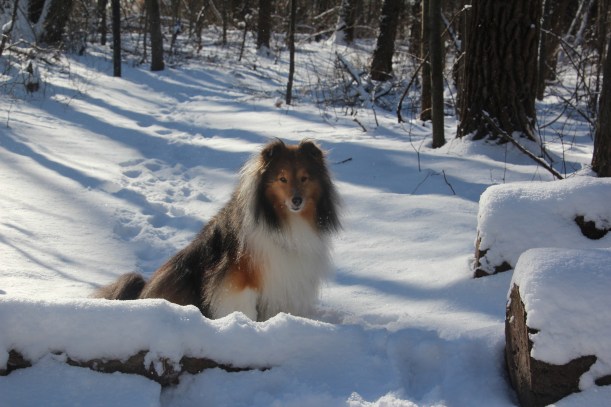 One treat, one shot mama!