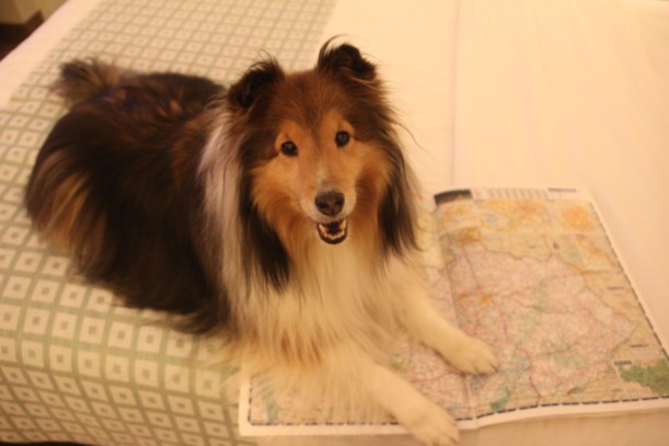 Checking out tomorrow's route mama!