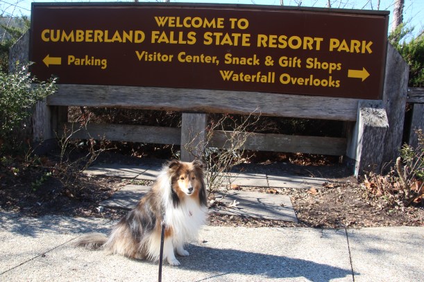 You're buying me something at the gift store.  Right mama?