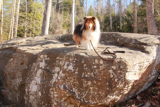 This is a really big rock mama!