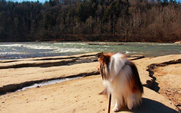 That's a really big river mama!